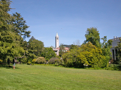 the meadow between Moffitt Library and the Life Sciences building, with the clock tower in the background